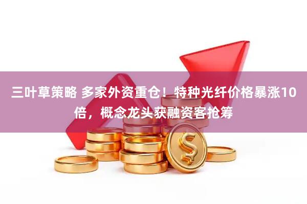 三叶草策略 多家外资重仓！特种光纤价格暴涨10倍，概念龙头获融资客抢筹